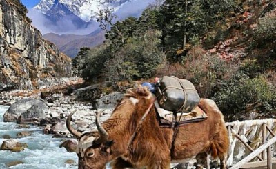 Everest Base Camp Trekking