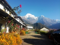 A typical house with view at Ghandruk