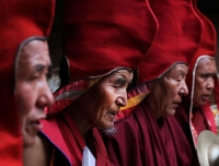 Monks praying during the puja