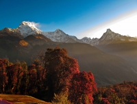 Amazing view of Annapurna South, Hiuchuli and Fishtail from Tadapani