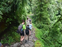 Trekkers walks in Jungle in Annapurna