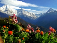 View of Annapurna from Ghandruk Village