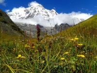 Annapurna South Base Camp