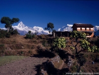 Dhampus Village Tour - Guide in Himalaya