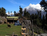 Tamang Heritage and Langtang Trek