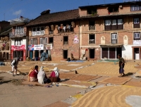 People drying harvest in Bungamati