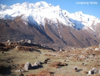 Langtang Himal