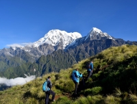 Hike Mardi Himal with Guide in Himalaya