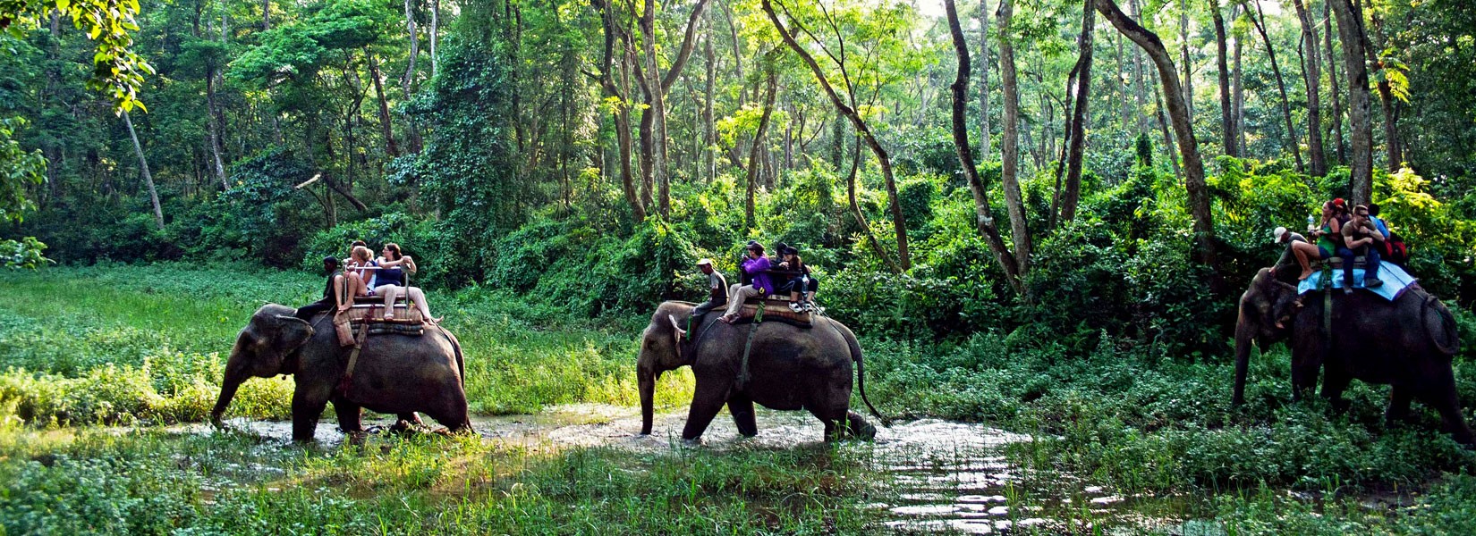 Chitwan National Park