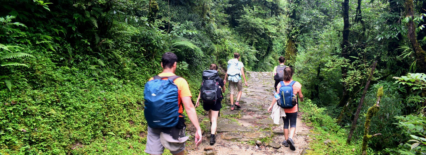 Beautiful jungle walk on Poon Hill trail