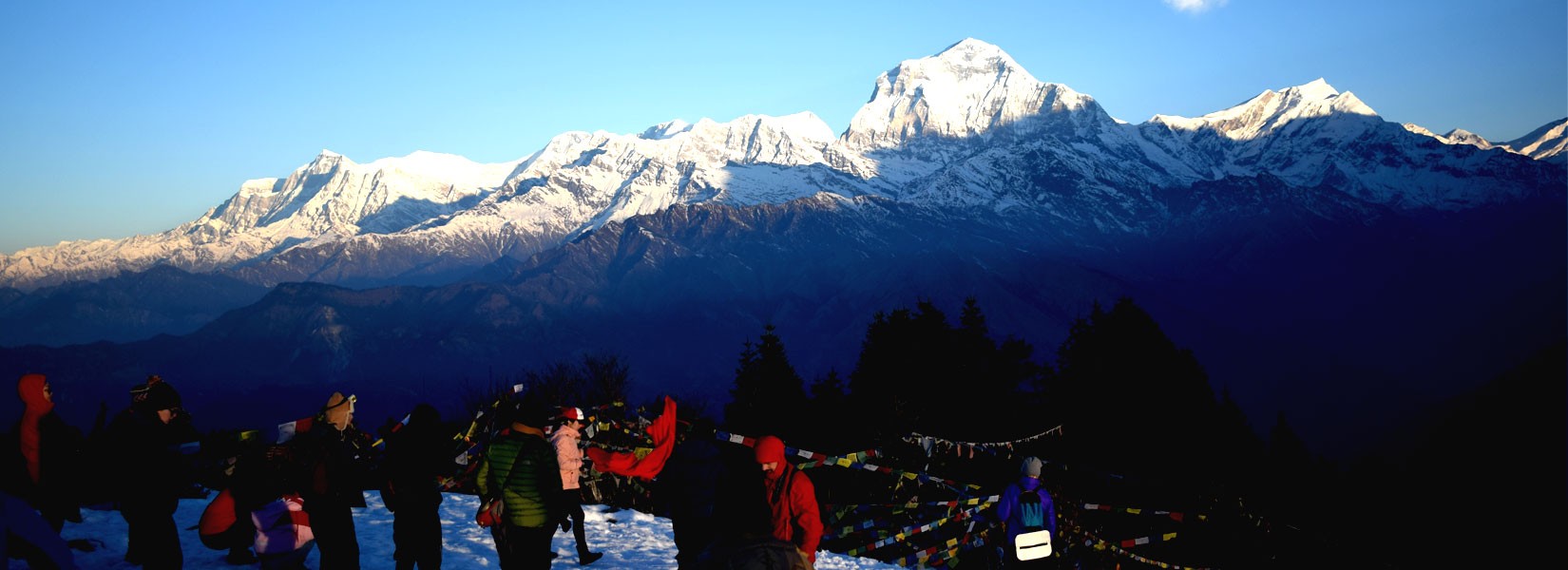 View of Mt. Dhaulagiri Range from Poon Hill