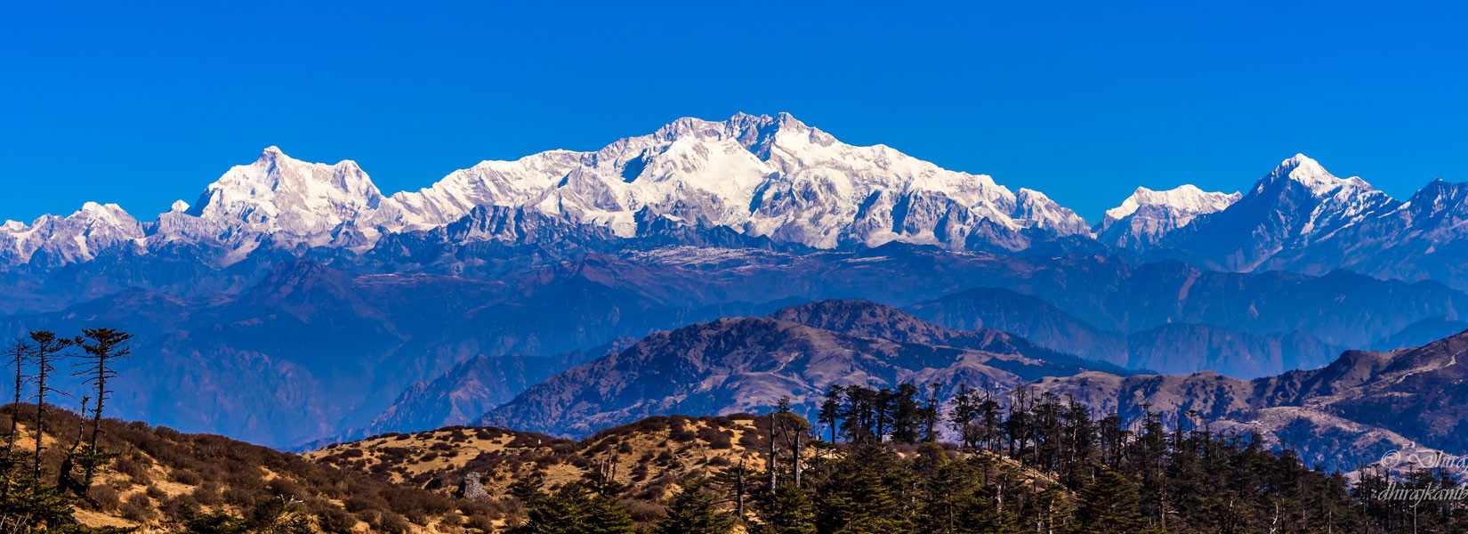 View of Kanchenjunga Range from Sandakphu Hill Ilam Nepal