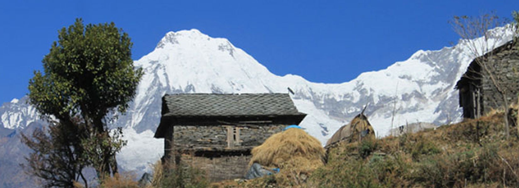 Ganesh Himal Trekking