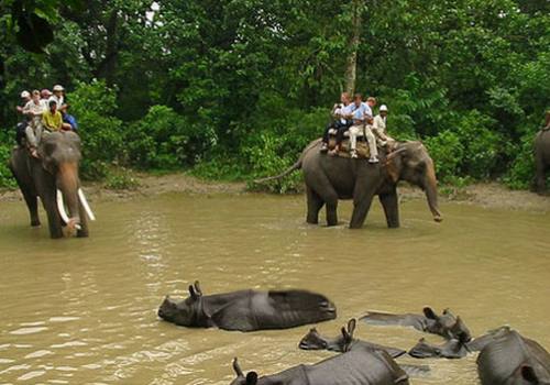 Nepal Culture and Wildlife Adventure Tour